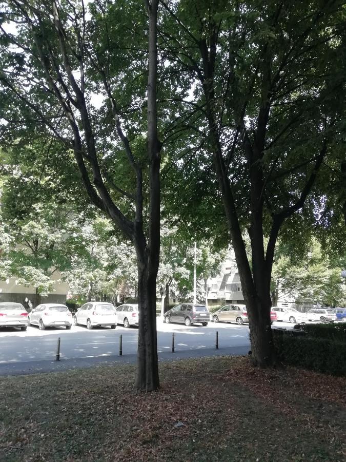 Sarmantni Apartman Malecka ซาเกร็บ ภายนอก รูปภาพ